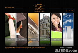 全方位專業設計服務 賦能品牌，構建卓越數字形象